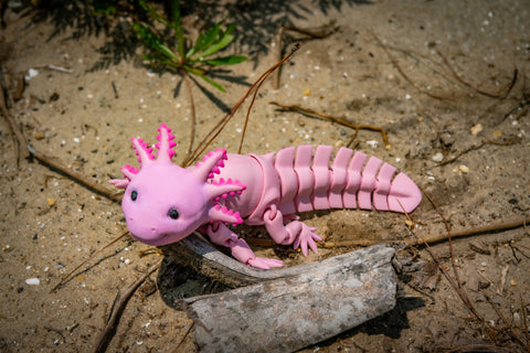 3D Printed Articulated Axolotl – Poseable Desk Pet – PLA Wiggle Toy – Custom Axolotl Gift