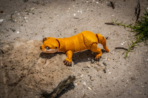3D Printed Flexible Otter – Super Cute Poseable Toy with Pop-In Neck – Custom Colors Available!