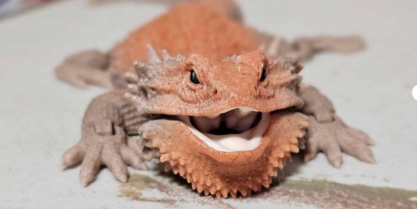 Ultra-Realistic 3D Printed Bearded Dragon | Fully Articulated | Posable | Large Multicolor PLA Sculpture