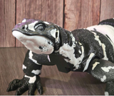Ultra-Realistic 3D Printed Asian Water Monitor Lizard | Fully Articulated | Posable | Large Black & White PLA Sculpture