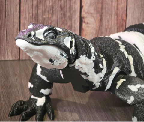 Ultra-Realistic 3D Printed Asian Water Monitor Lizard | Fully Articulated | Posable | Large Black & White PLA Sculpture