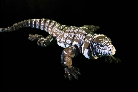 Ultra Realistic Articulated Tegu Monitor